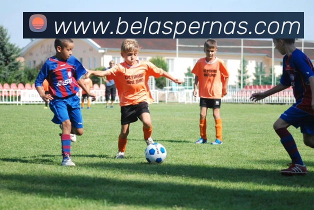 App 示例图